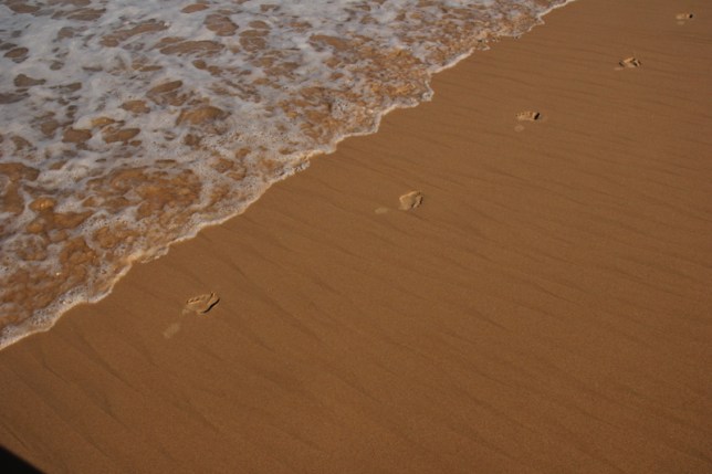 I wonder how many times I've walked this stretch of sand?
