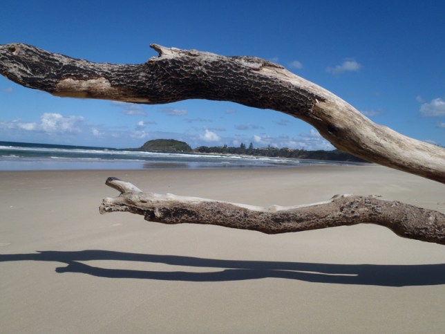 I did a road trip up to the northern NSW coast this summer. Scott's Head was one of my favourite places.